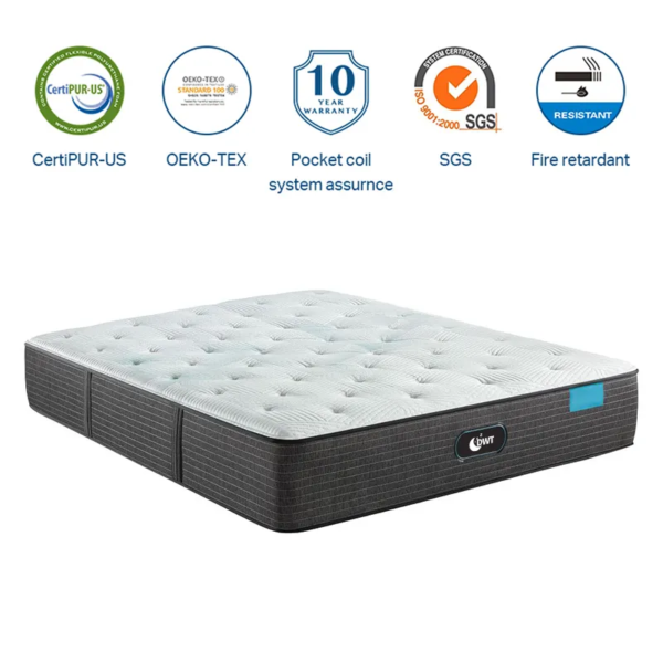 Roll-up Pocket Spring Mattress in a Box